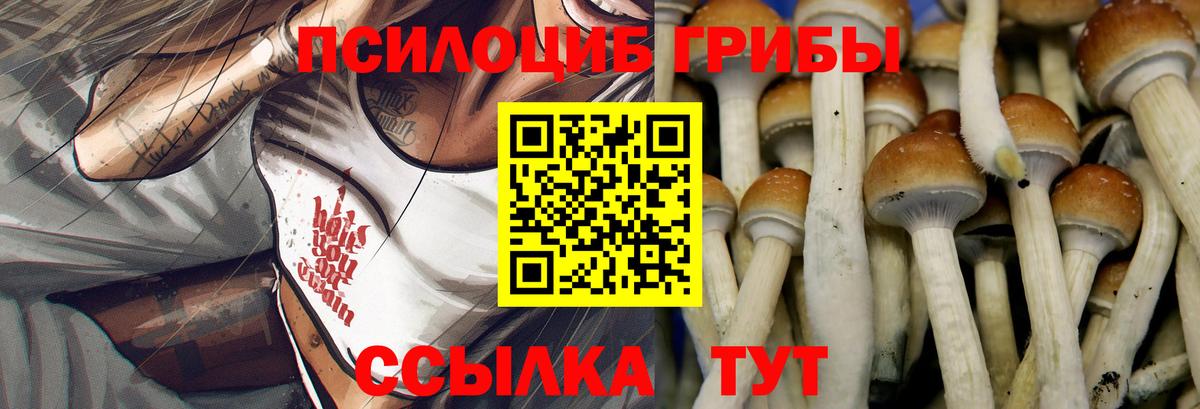 Ангарск  Псилоцибиновые грибы Psilocybine cubensis  Вход с VPN 