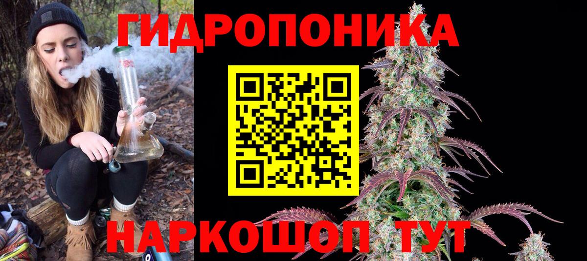 Шишки марихуана конопля Ангарск